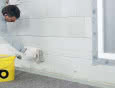 Algi i grzyby na elewacji